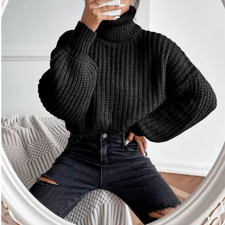 Long Shoulder Knitted Pullover Turtleneck