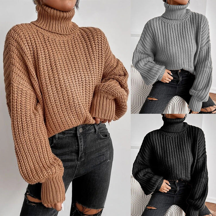 Long Shoulder Knitted Pullover Turtleneck